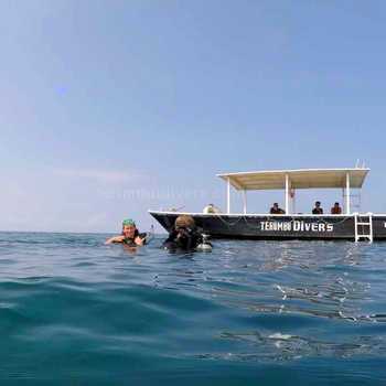 tours des iles gili, plongée, snorkeling, visites